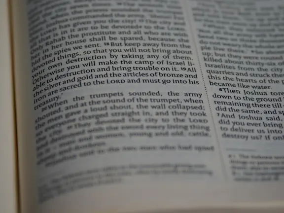 Hejgo Casino Kundeservice